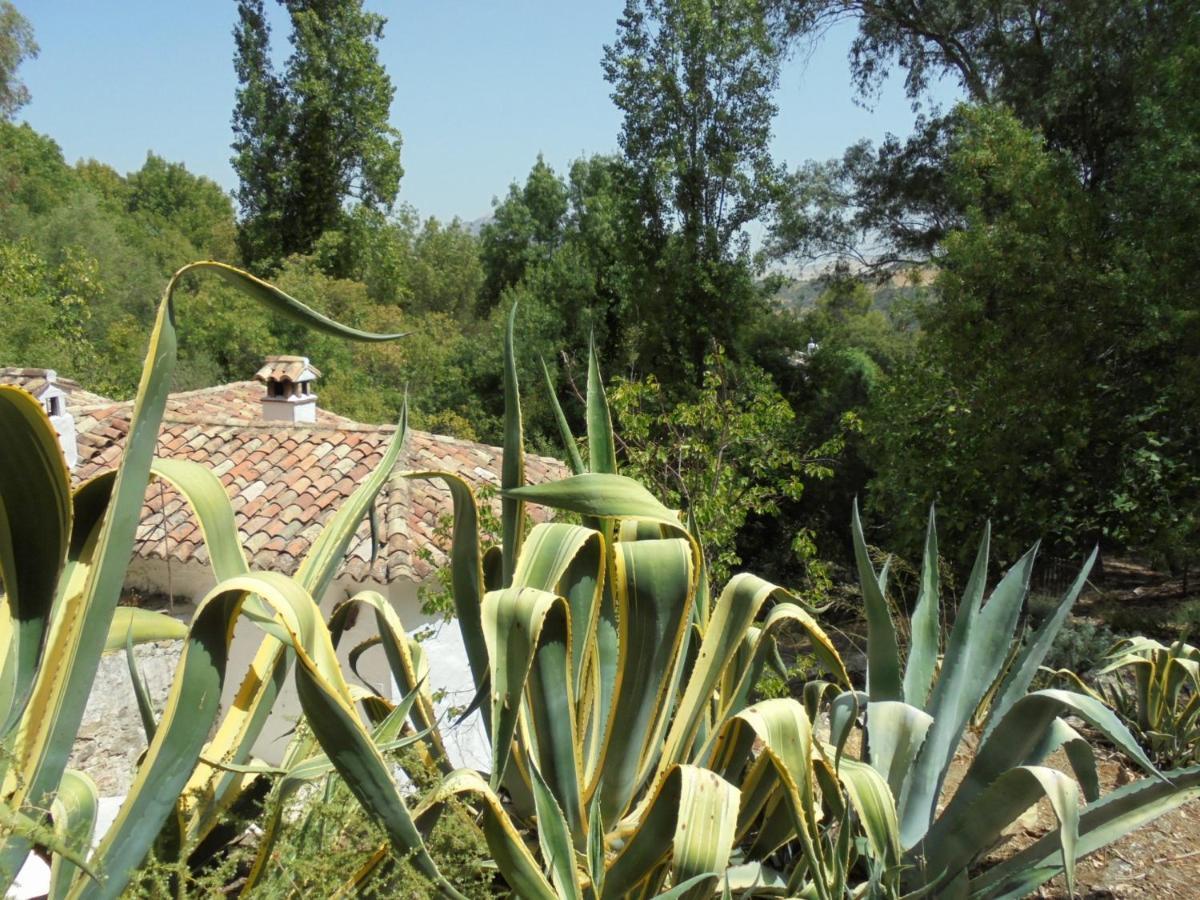Villa El Pastor Grazalema Esterno foto