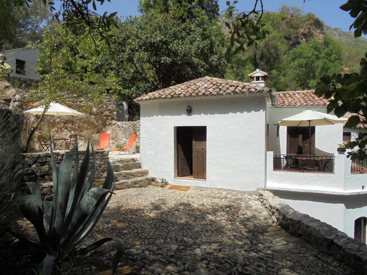 Villa El Pastor Grazalema Esterno foto